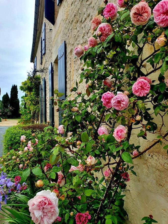 Le Clos De L'Amiral Preguillac Exteriör bild
